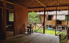 Castana Amazon Park