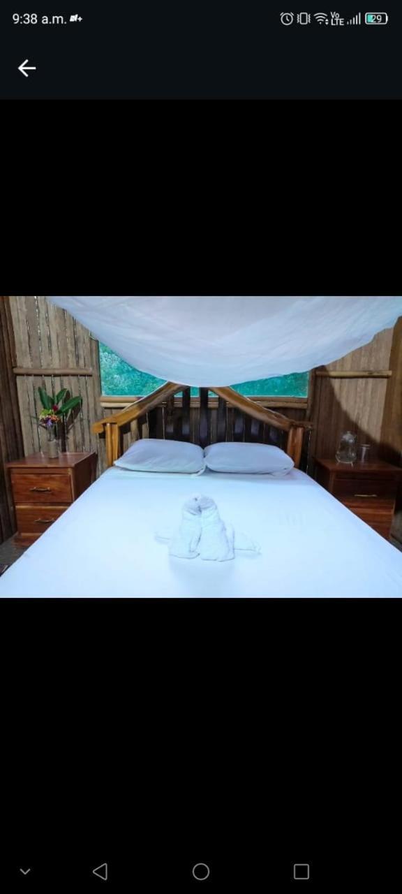 Castana Amazon Park Hostel Puerto Maldonado Exterior photo