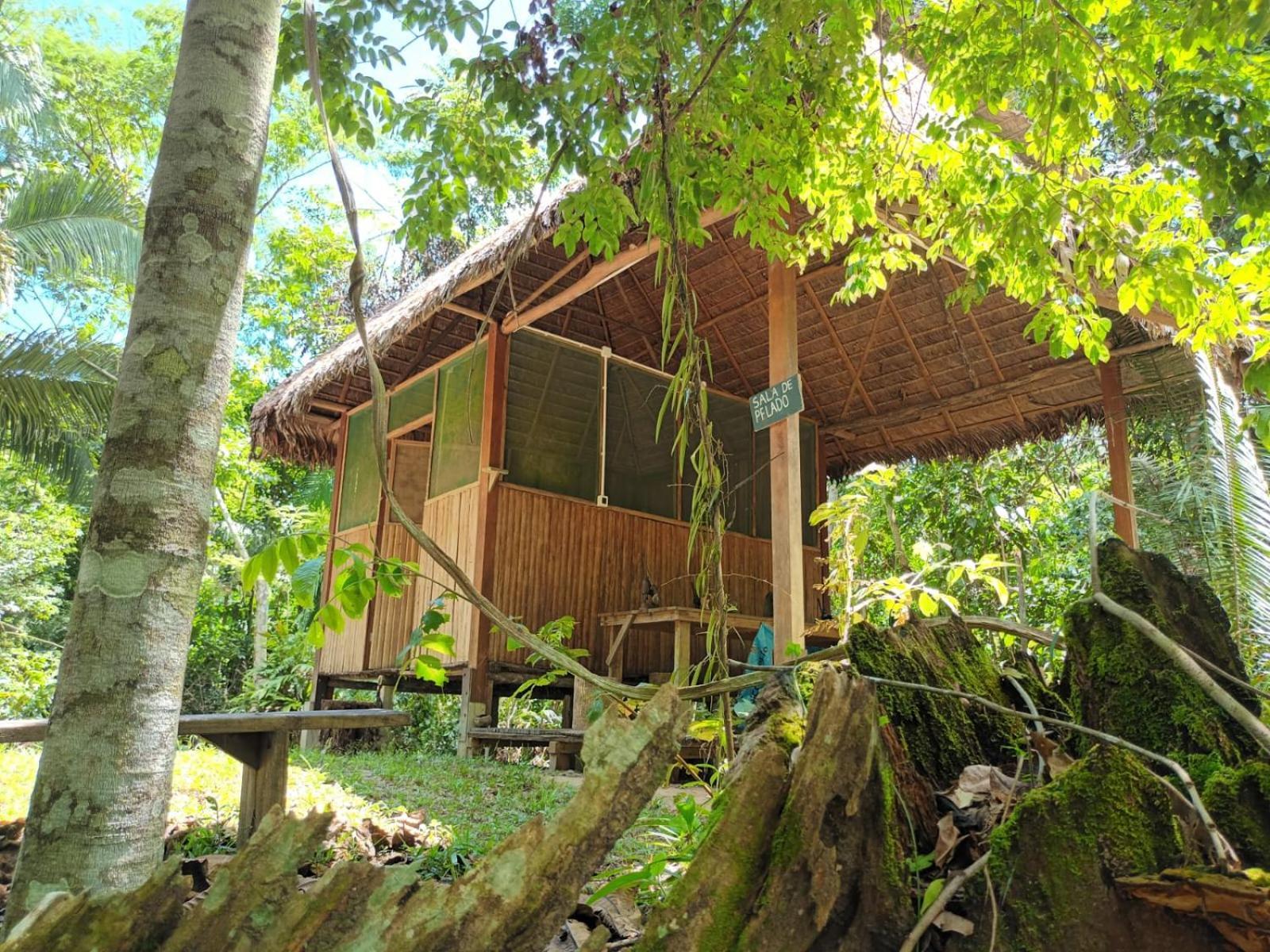 Castana Amazon Park Hostel Puerto Maldonado Exterior photo